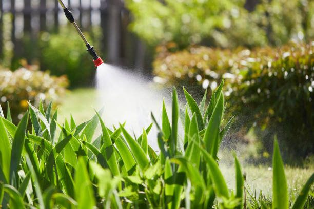 24/7 Emergency Wasp Removal experts in Georgetown, PA